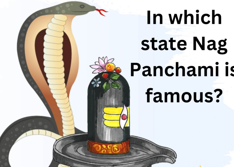 In which state Nag Panchami is famous?