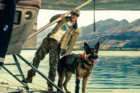 Heart Of The Beast Movie Review: Brad Pitt Shines, But Uber Steals The Show In This Emotional Tearjerker