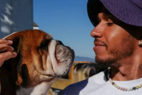 Kim Kardashian’s partner Lewis Hamilton remembers pet dog Roscoe on his death anniversary