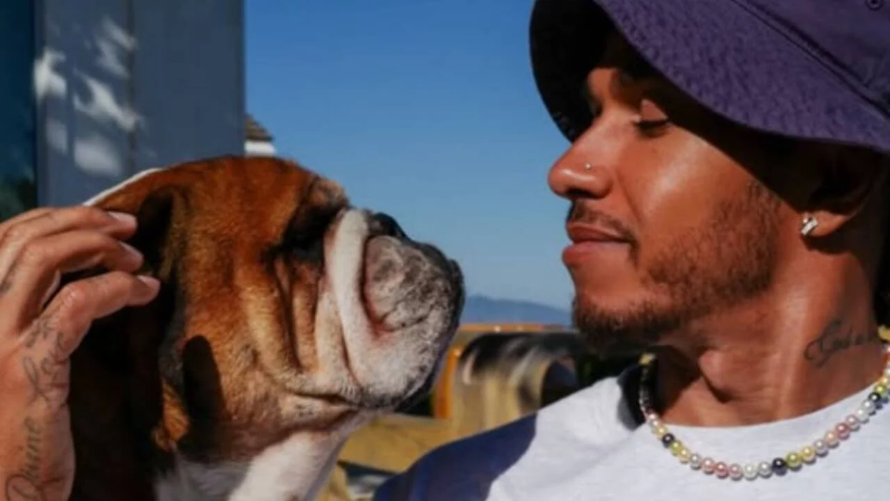 Kim Kardashian’s partner Lewis Hamilton remembers pet dog Roscoe on his death anniversary