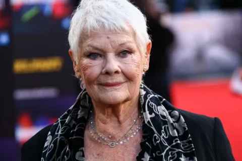 Quote of the day by Judi Dench