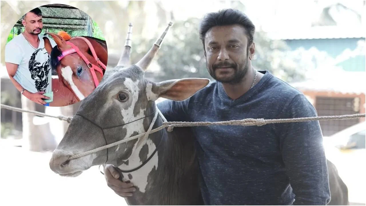 Darshan Thoogudeepa's farmhouse near Mysuru