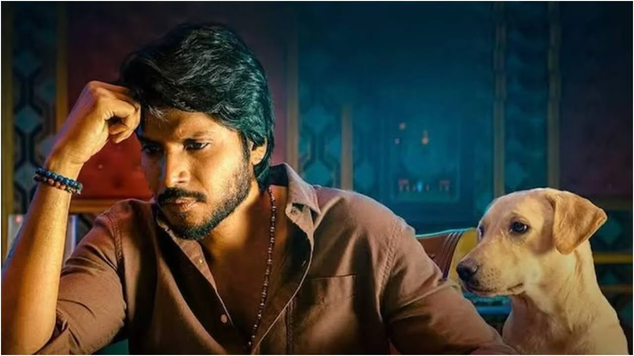 'Sigma' BO day 7: Jason Sanjay's film earns Rs 8.27 cr India net