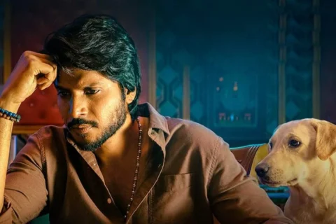 Sigma Box Office Collection Day 2: Only 15% Budget Recovery – Things Look Tough For Vijay’s Son Jason Sanjay’s Film!