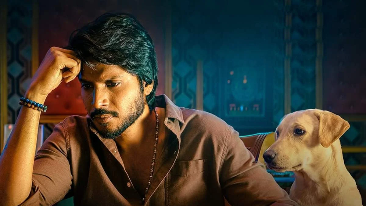 Sigma Box Office Collection Day 2: Only 15% Budget Recovery – Things Look Tough For Vijay’s Son Jason Sanjay’s Film!